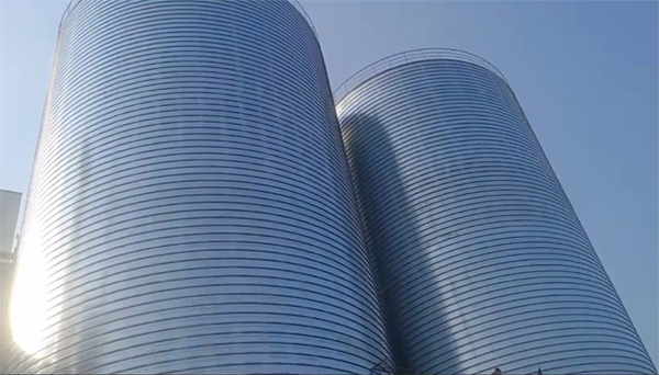 孟津2座混凝土高架卷板仓